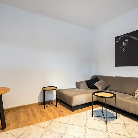 Avner 布加勒斯特