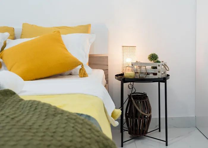 Avner 布加勒斯特