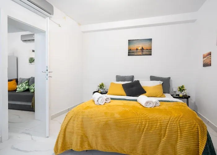 Avner 布加勒斯特